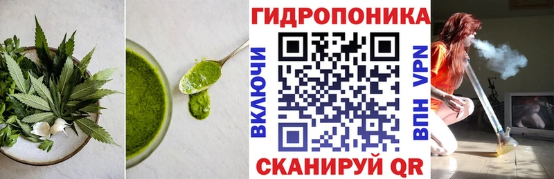 Canna-Cookies конопля наркошоп Козьмодемьянск