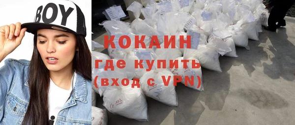 стаф Аркадак