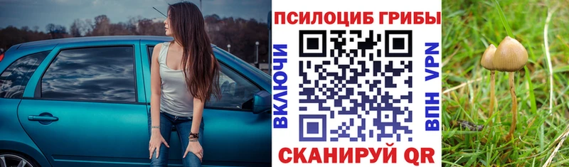 KRAKEN зеркало  Козьмодемьянск  shop Telegram  Галлюциногенные грибы GOLDEN TEACHER 